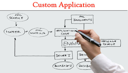 Custom Application Development and Management